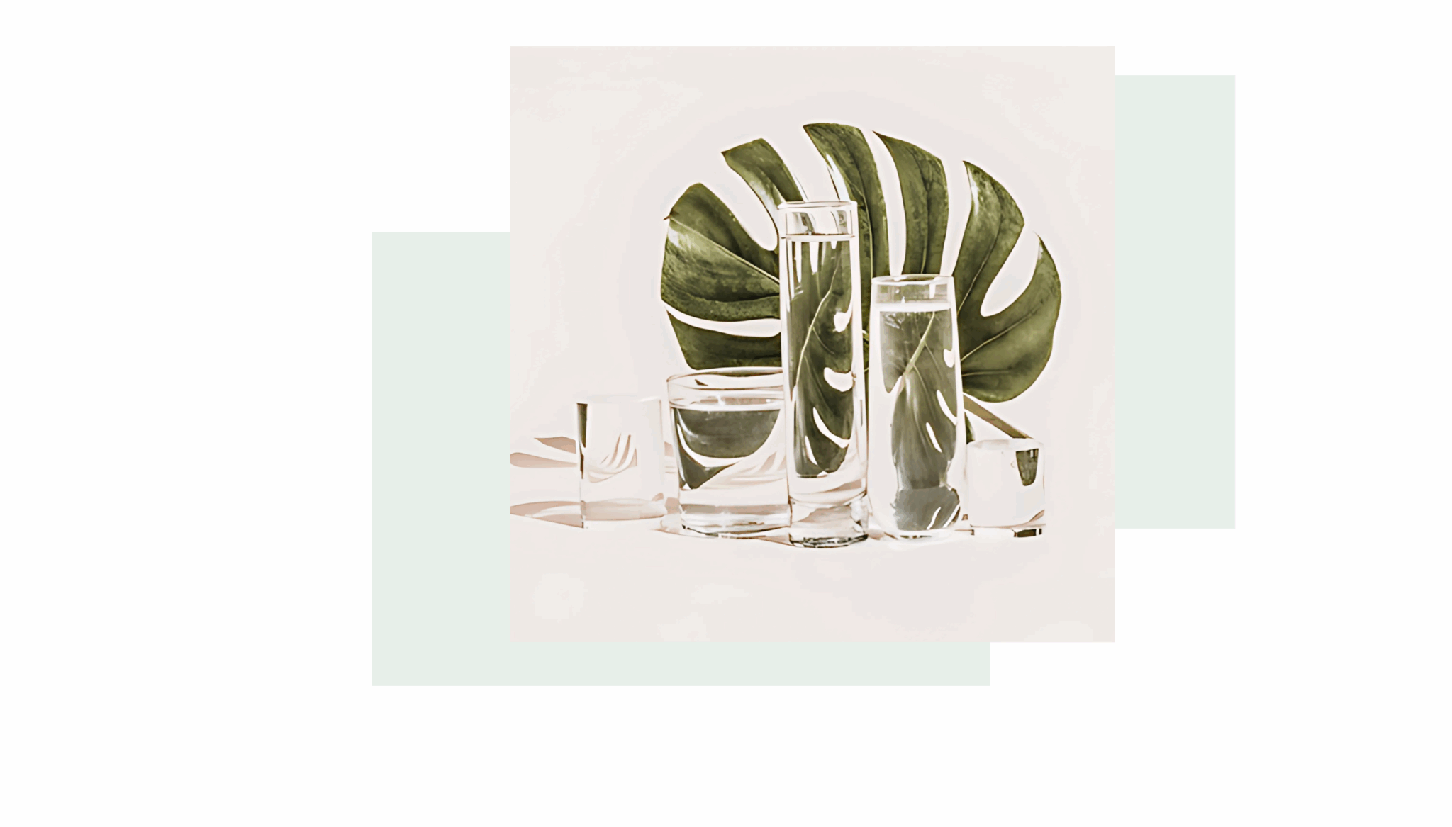 Petschwork_Header_2(5)