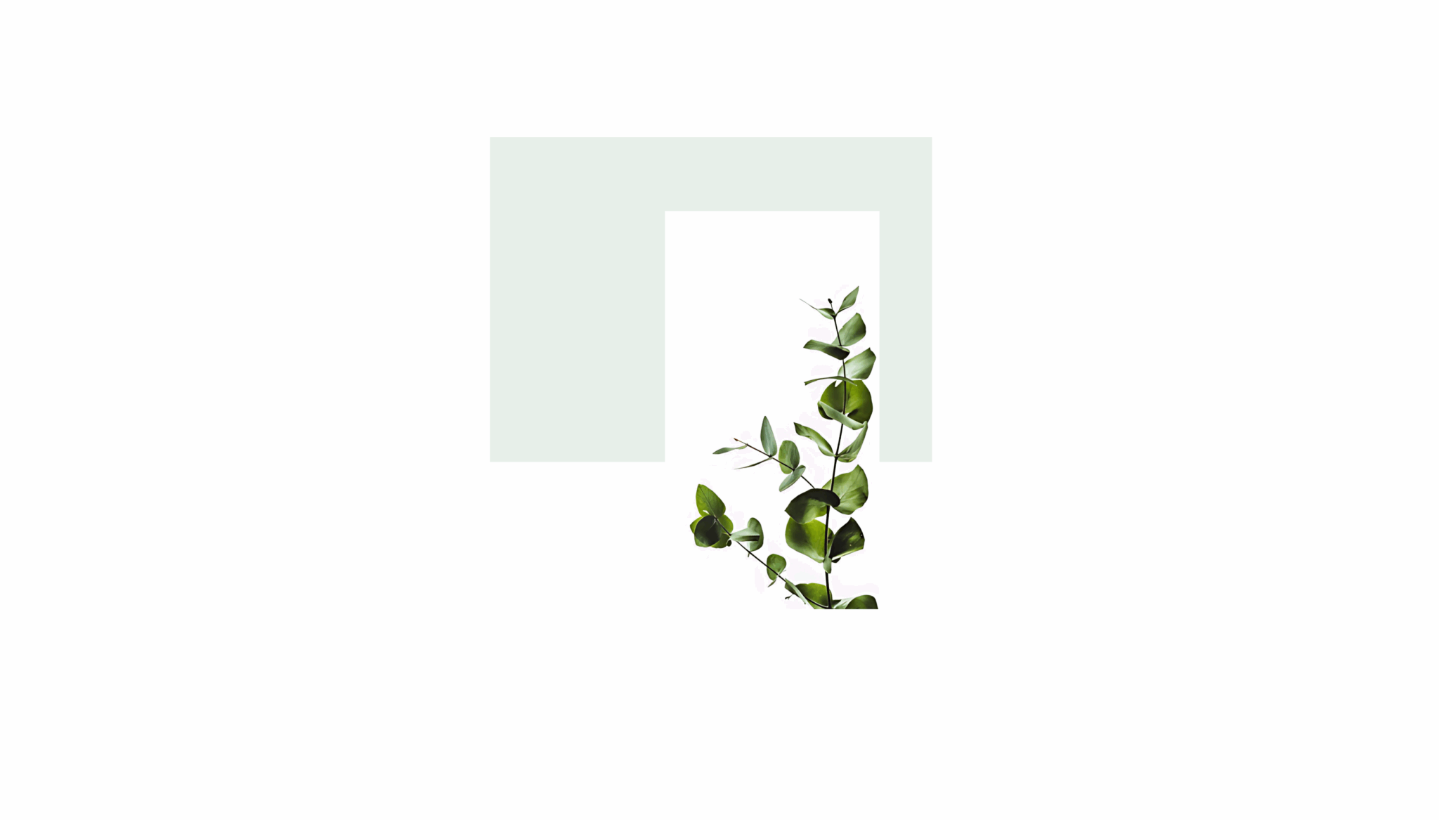 Petschwork_Header_2(7)